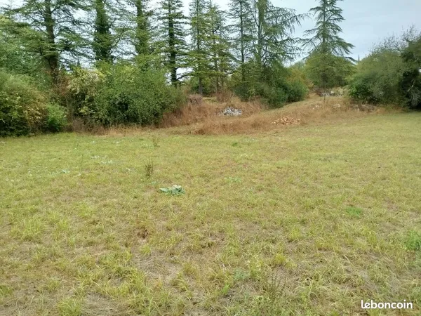Terrain constructible