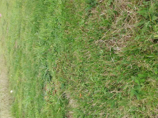 Terrain 465 m²