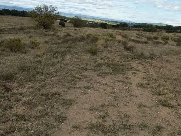 Terrain de loisirs