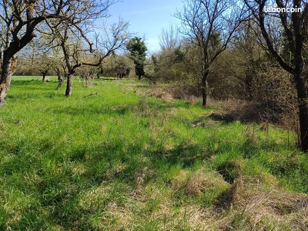 Terrain de loisirs en zone Agricole