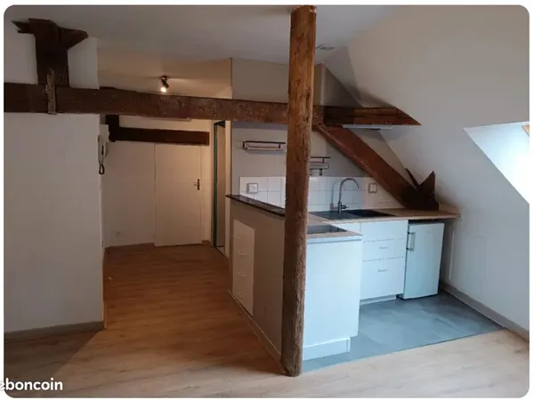 Appartement F2 / 46m2 / centre-ville