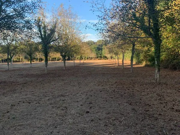 Terrain agricole