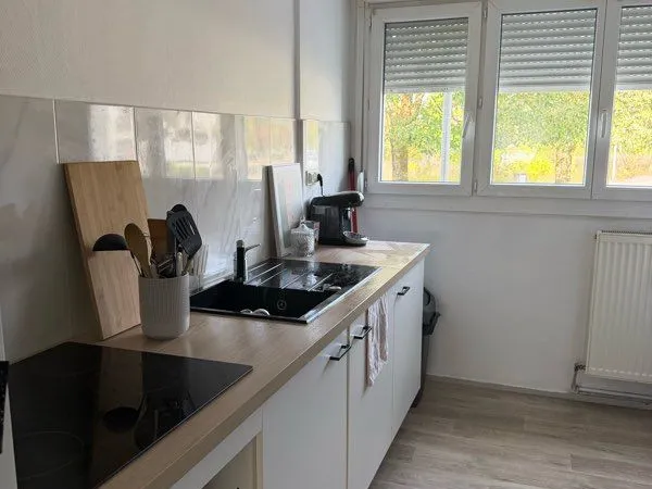 Appartement Longvic à louer