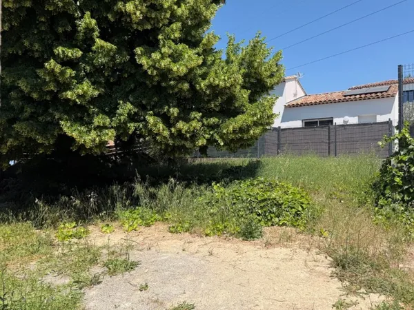Terrain 343 m²