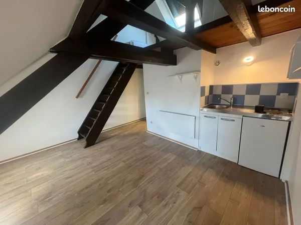 JOLI STUDIO DUPLEX MANSARDE, 24 m 2 au sol, 32 rue du FAUBOURG DE PIERRE STRASBOURG