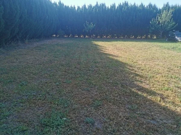 Terrain 1000 m²