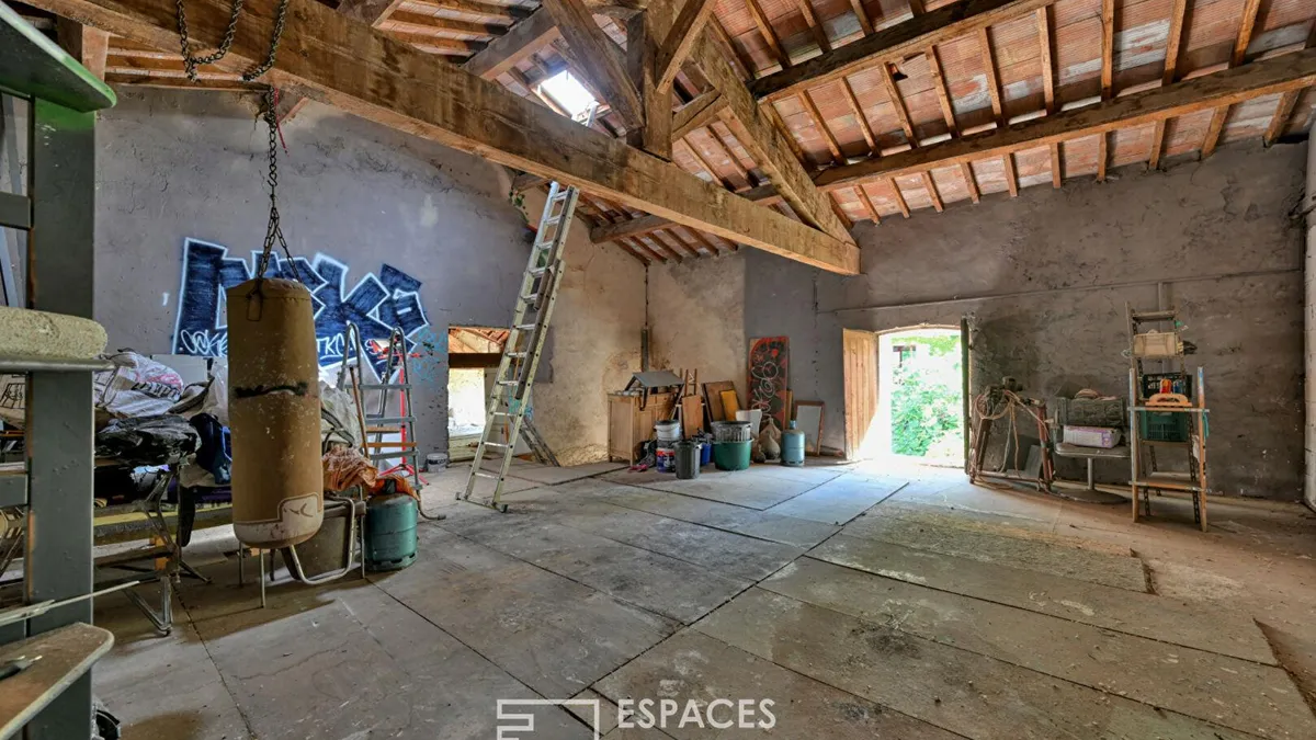 Photo 15