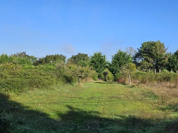 Terrain 589 m²