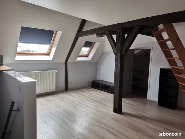 F1 duplex - centre ville