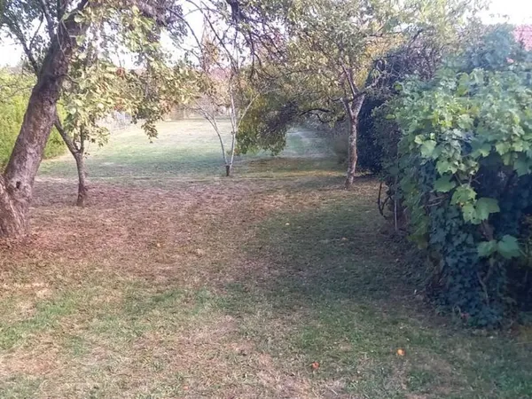Terrain à bâtir