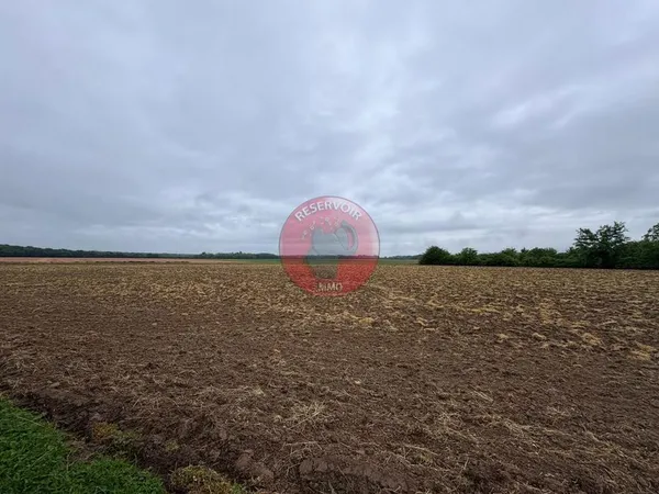 Terrain 6000 m²