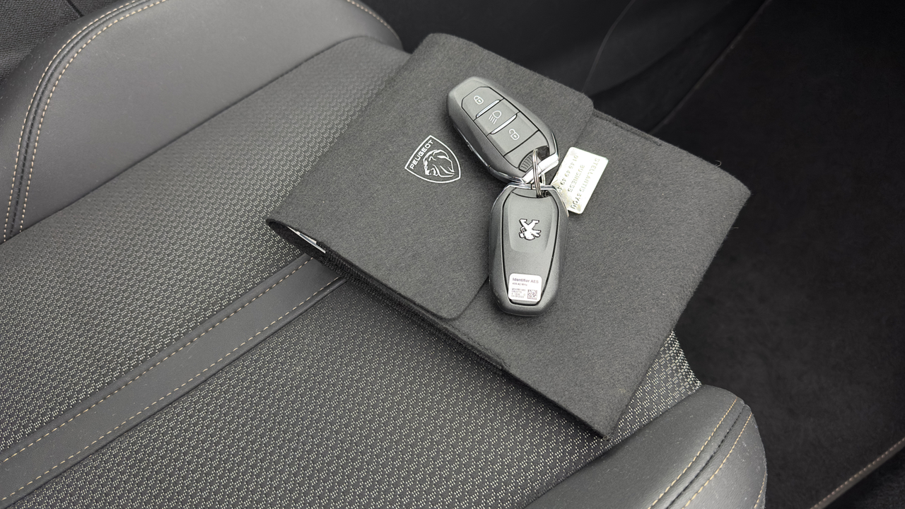 Peugeot 3008 Hybrid 225 e-EAT8 — photo 41