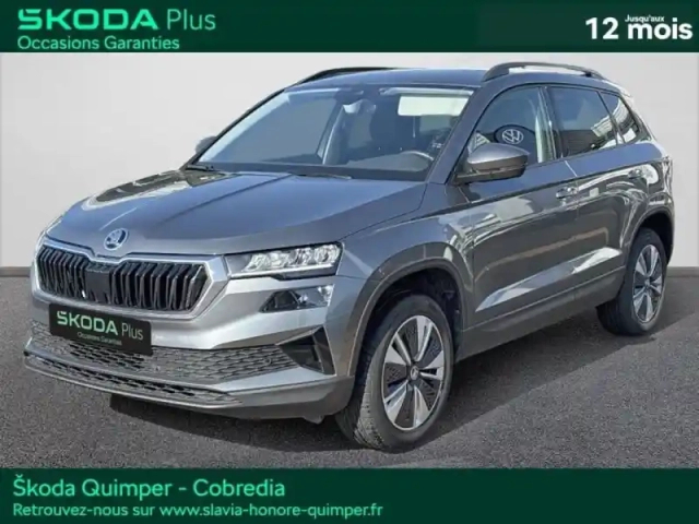 Skoda Karoq 2.0 tdi 116ch scr business dsg7
