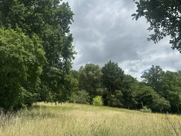 Terrain 3855 m²