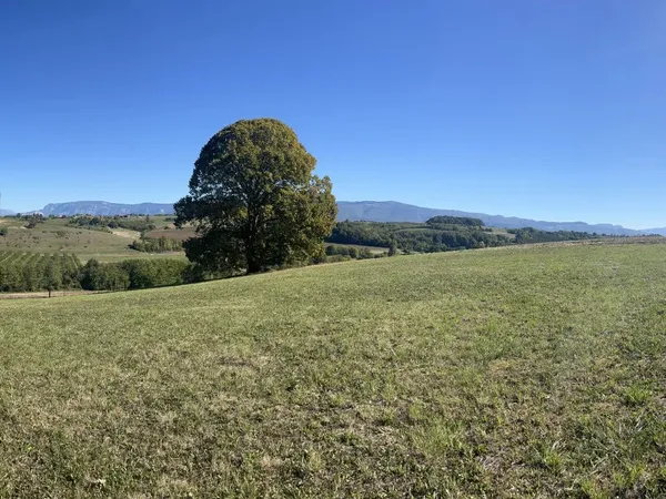 Terrain 1069 m²