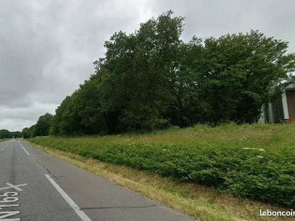 SAUTRON (44880) - Terrain 4 800 m² avec permis purgé - Emplacement stratégique RN165