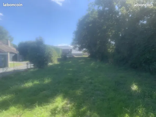 Terrain constructible
