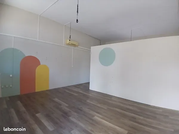 LOCAUX COMMERCIAUX / PROFESSIONNELS - SAINT-LOUIS - Locaux rénovés