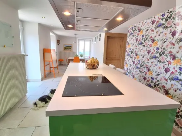 Grande maison avec revenus locatifs et fort potentiel