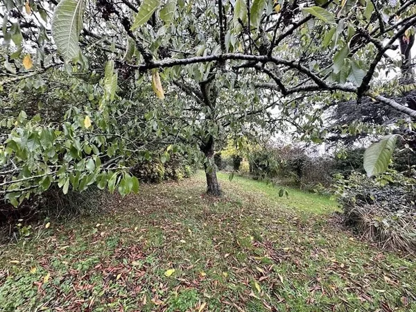 Terrain 762 m²