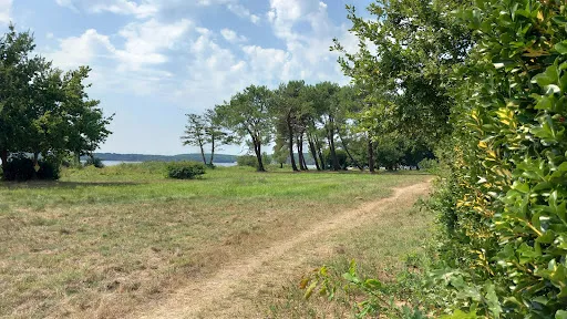 Terrain 889 m²