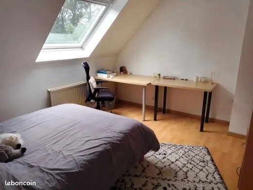 Colocation étudiante