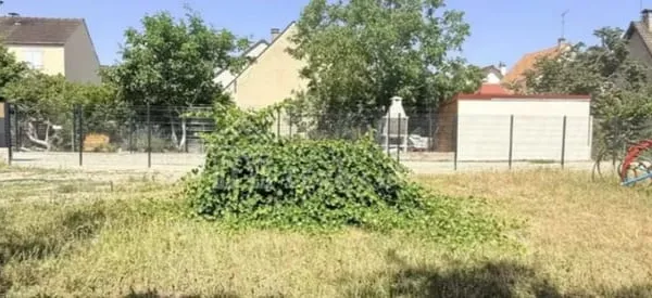 Terrain 401 m²