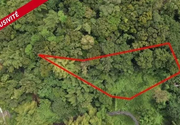 Terrain à bâtir - Cadre naturel et beau potentiel