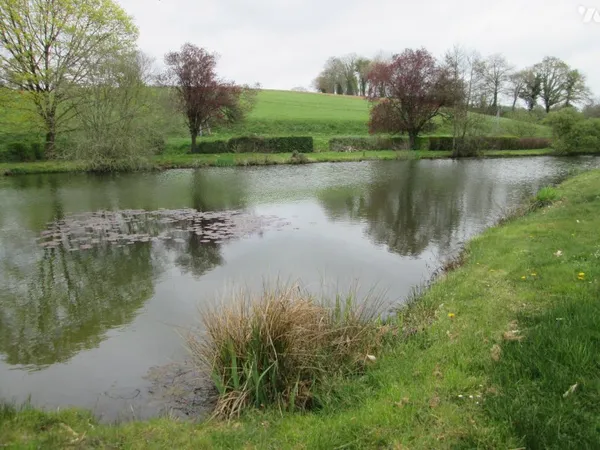 Terrain 6547 m²