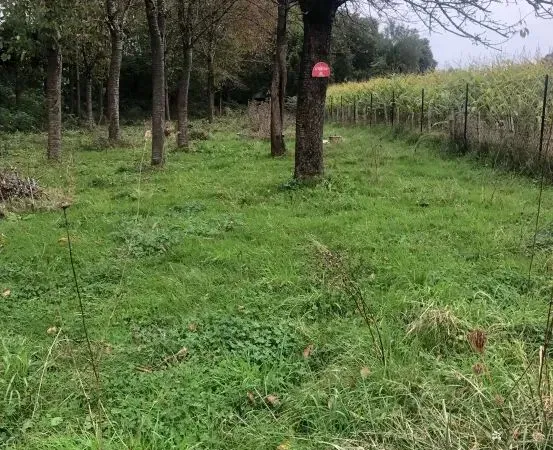 Terrain Agricole Non Constructible 2000m2
