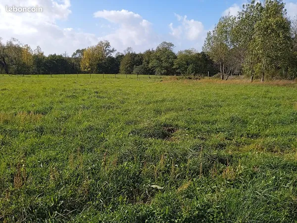 Terrain 996 m² SAINT CIERS SUR GIRONDE