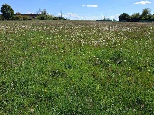 Terrain 2128 m²