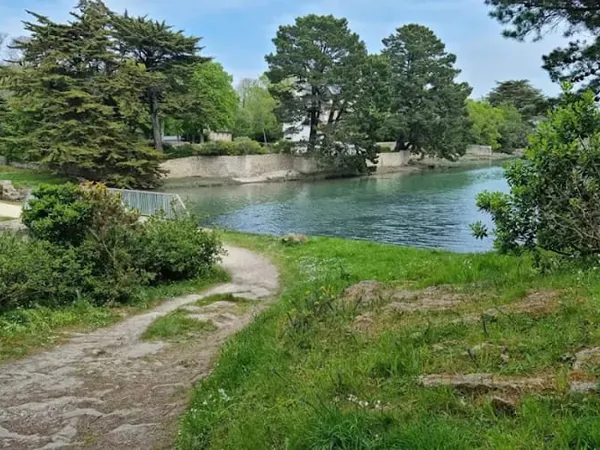 Terrain 475 m²