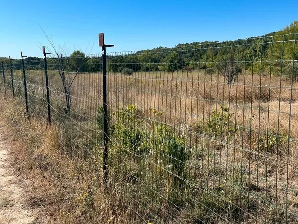 Terrain agricole