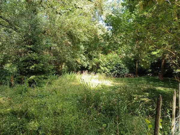 Terrain à vendre de 595 m² à Varennes sur Loire