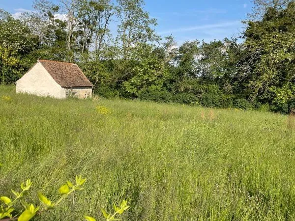 Terrain constructible