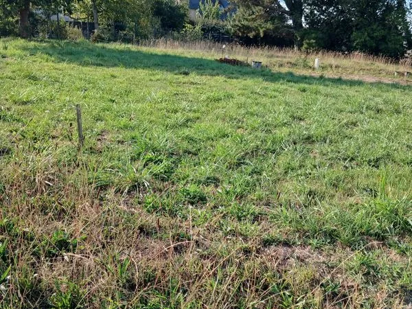 FRÉHEL - Terrain constructible de 395 m² - Exposition Sud - 99 000