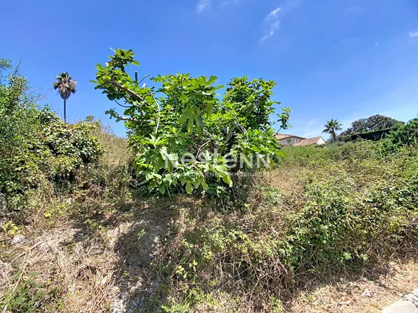 TERRAIN AVEC PC 1669m2 - VALLAURIS-LES IMPINIERS -CONSTRUCTIBLE-PISCINABLE