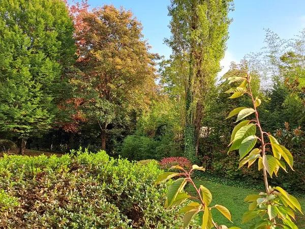 Appartement T4 - 107 m² - Caluire Le Vernay - 425 000