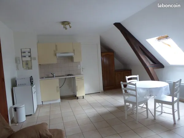 Vaste studio, lumineux, centre-ville, place de parking privative
