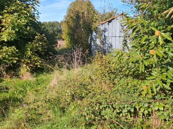 Terrain 3000 m² GOURIN