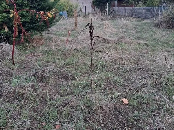 Maison 4 pièces 65 m²