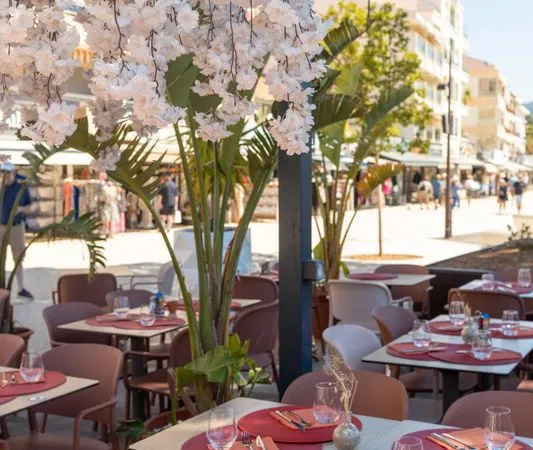 Brasserie sur le port de Bandol
