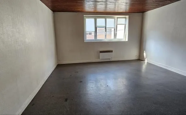 F1 BIS 40m2 NANCY CENTRE AVEC KITCHENETTE