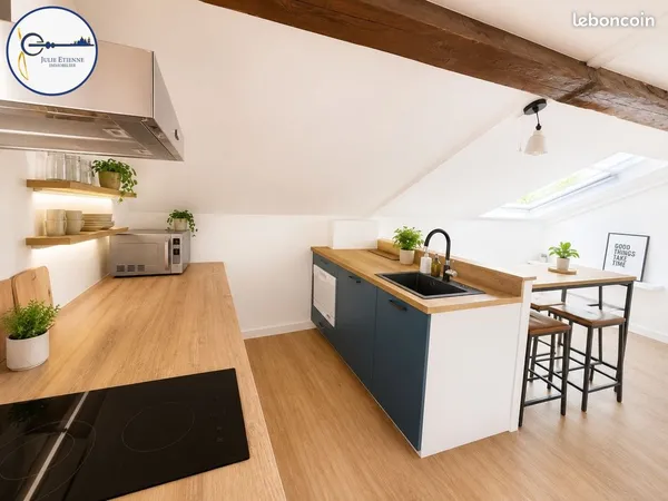 Studio 1 pièce 18 m²
