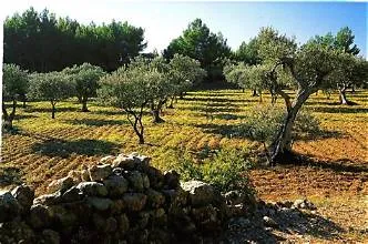 Vends terrain