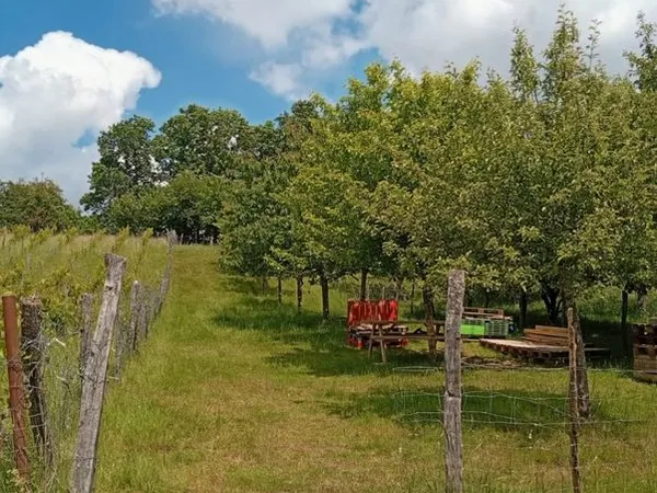 Terrain de loisirs