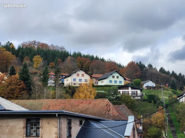 À vendre - Maisons de campagne 8/10 pièces - Saint-Louis-lès-Bitche