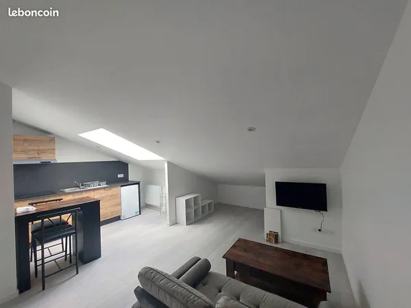 Studio 1 pièce 20 m²