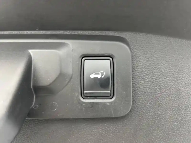 Renault Austral mild hybrid 160 auto — photo 63